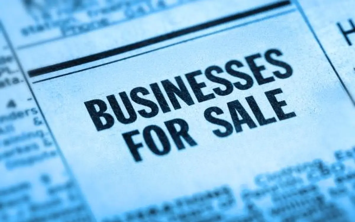 Business owner and investor discussing business sale strategy